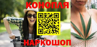 МДПВ Славгород