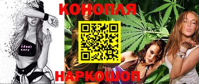 МДПВ Славгород