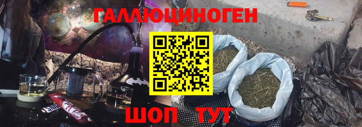 Псилоцибиновые грибы Psilocybe Отрадное