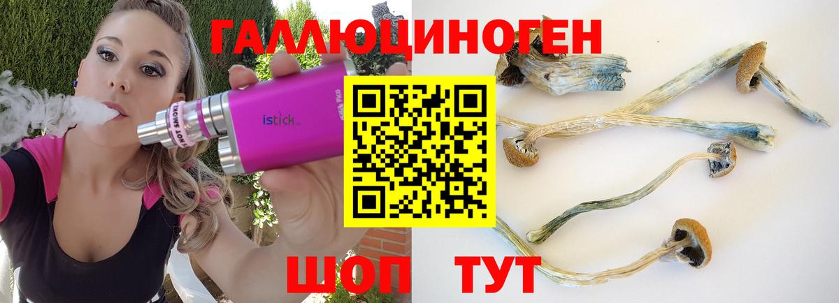 Галлюциногенные грибы прущие грибы  Вход с VPN  Галлюциногенные грибы Magic Shrooms  Отрадное 