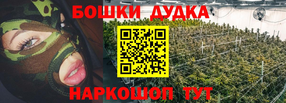 Канабис MAZAR Отрадное